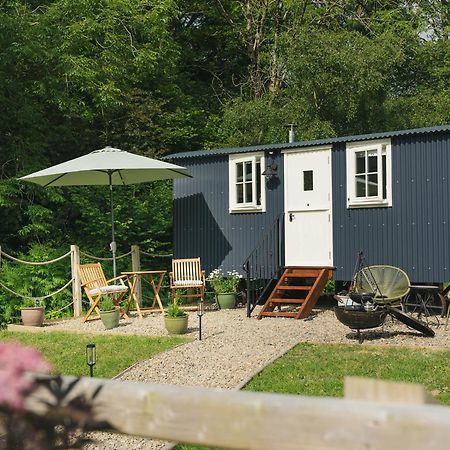 Bedwen Villa Llanarth  Eksteriør bilde